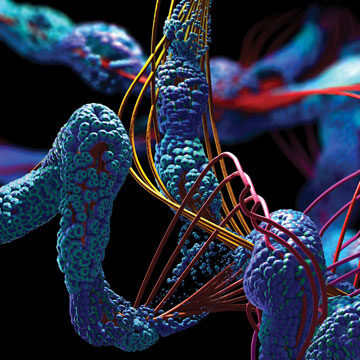 24Summer_Pulse-Research-Image-Float_360x360