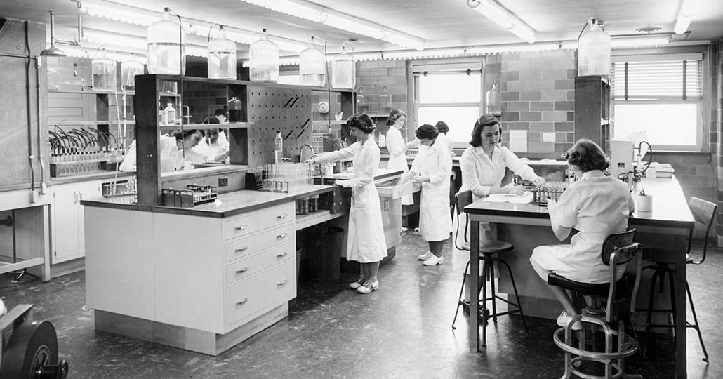 image of multiple women wearing white lab coats, working in a laboratory, analyzing blood.