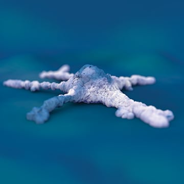 mockup of a cell on blue background