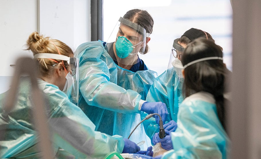 Four doctors wearing medical protective gear, performing a medical procedure on a patient