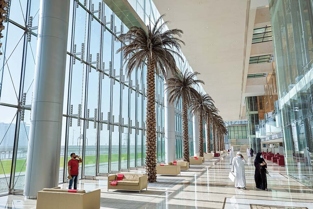 image of the interior of a build with with potted palm trees and glass walls