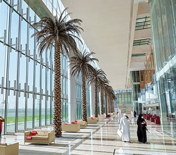 image of the interior of a build with with potted palm trees and glass walls