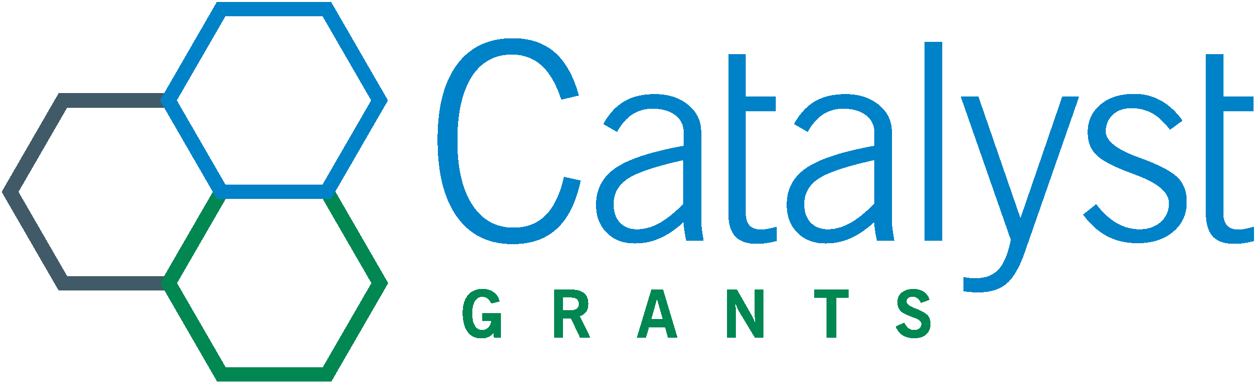 Catalyst Grants Logo