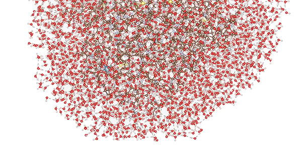 molecule_12635 Topaz Gigapixel 2x scale 610x316